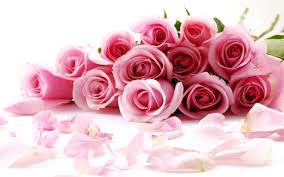 January 24th Nightly Specials